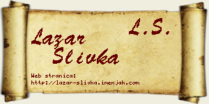 Lazar Slivka vizit kartica